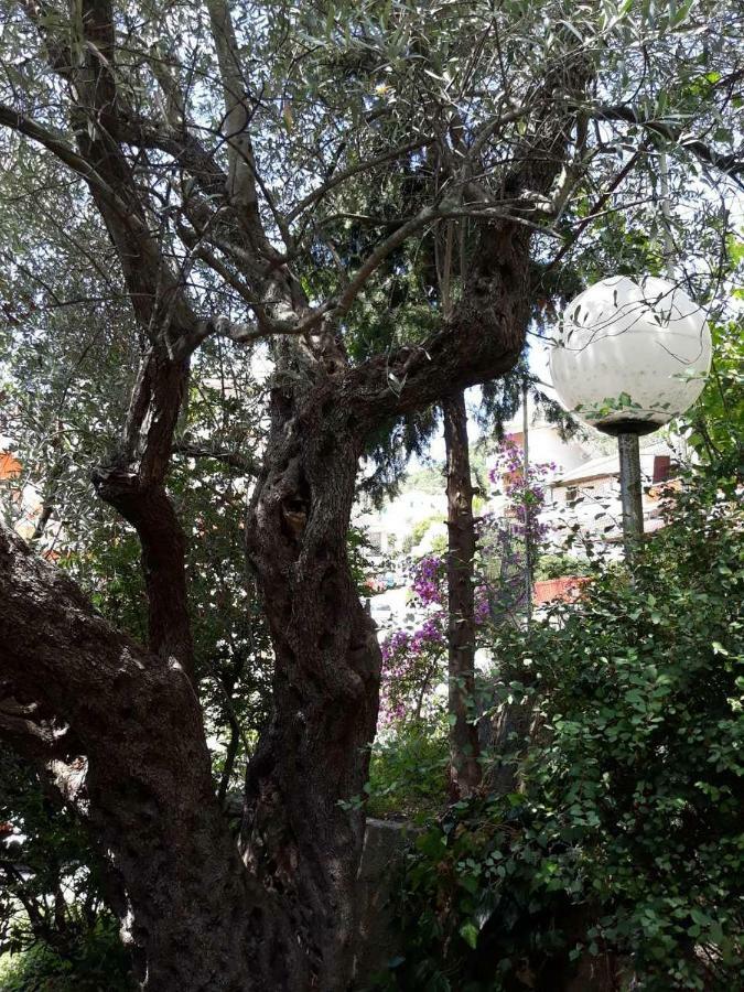 Seahaven Apartment Petrovac Exterior foto