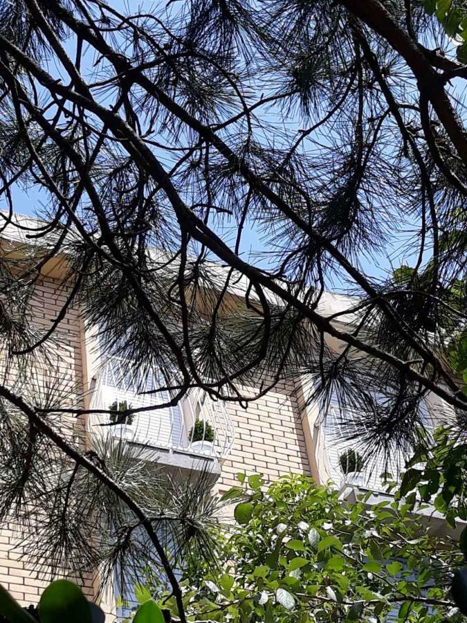 Seahaven Apartment Petrovac Exterior foto